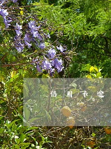 信用卡逾期止付严重吗 信用卡逾期止付严重吗