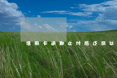 信用卡逾期止付后还可以开通吗