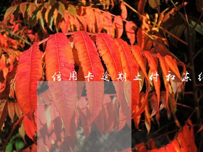 信用卡逾期止付和冻结 信用卡逾期止付和冻结