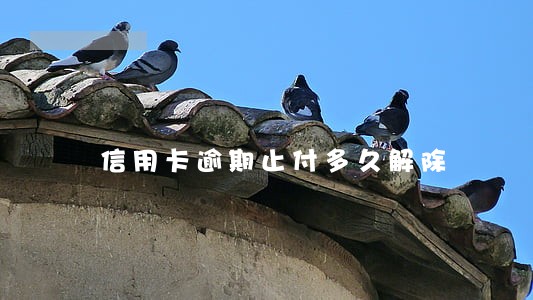 信用卡逾期止付多久解除 信用卡逾期止付多久解除