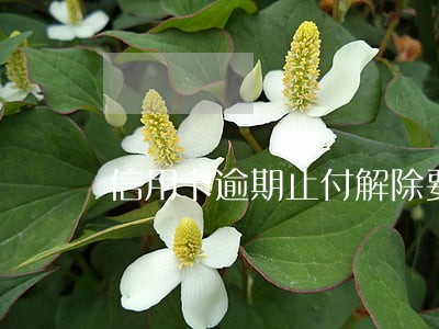 信用卡逾期止付解除要多久