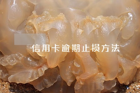 信用卡逾期止损方法