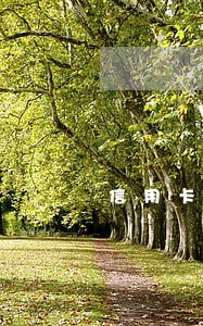 信用卡逾期正在司法审核 信用卡逾期正在司法审核
