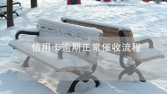 信用卡逾期正常催收流程 信用卡逾期正常催收流程