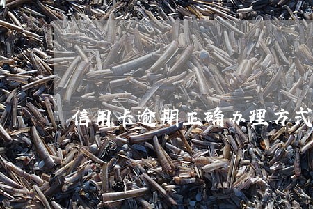 信用卡逾期正确办理方式 信用卡逾期正确办理方式