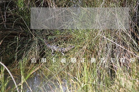 信用卡逾期正确告知程序 信用卡逾期正确告知程序