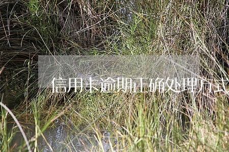 信用卡逾期正确处理方式 信用卡逾期正确处理方式