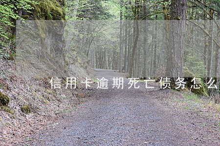 信用卡逾期死亡债务怎么办