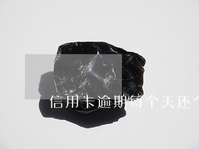 信用卡逾期每个天还个几块 信用卡逾期每个天还个几块