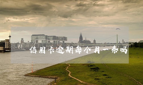 信用卡逾期每个月一条吗 信用卡逾期每个月一条吗