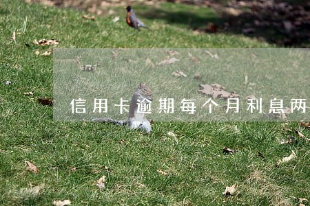 信用卡逾期每个月利息两千多 信用卡逾期每个月利息两千多