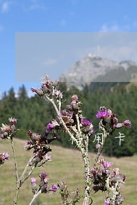 信用卡逾期每个月在还钱会怎么样