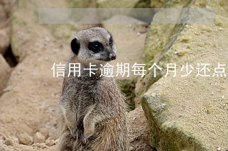 信用卡逾期每个月少还点行不 信用卡逾期每个月少还点行不