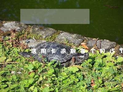 信用卡逾期每个月还1块钱 信用卡逾期每个月还1块钱