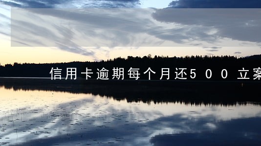 信用卡逾期每个月还500立案