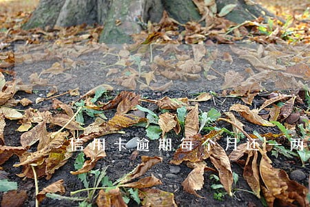 信用卡逾期每个月还一两百 信用卡逾期每个月还一两百