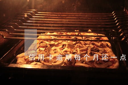 信用卡逾期每个月还一点进去 信用卡逾期每个月还一点进去