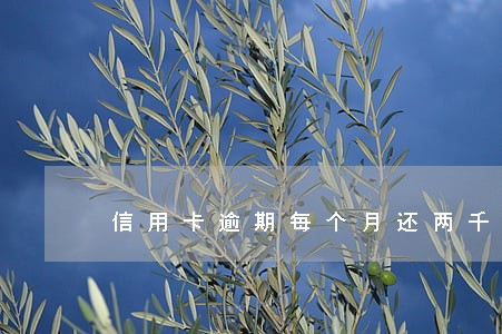 信用卡逾期每个月还两千 信用卡逾期每个月还两千