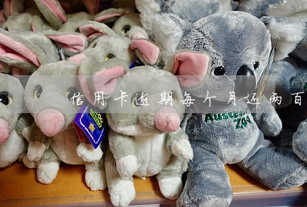 信用卡逾期每个月还两百