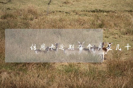 信用卡逾期每个月还几千好不好 信用卡逾期每个月还几千好不好