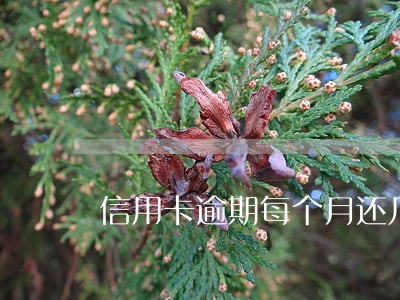 信用卡逾期每个月还几百块 信用卡逾期每个月还几百块