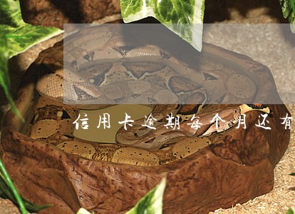 信用卡逾期每个月还有没有事情 信用卡逾期每个月还有没有事情