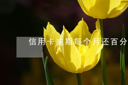 信用卡逾期每个月还百分之十 信用卡逾期每个月还百分之十