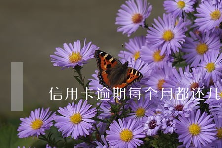 信用卡逾期每个月都还几块钱 信用卡逾期每个月都还几块钱