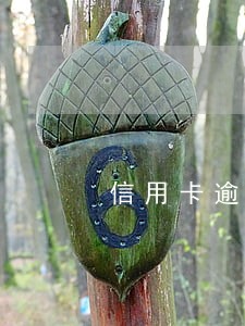 信用卡逾期每个月都还几百 信用卡逾期每个月都还几百
