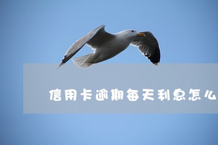 信用卡逾期每天利息怎么算 信用卡逾期每天利息怎么算