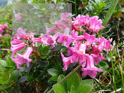 信用卡逾期每天打多少个电话 信用卡逾期每天打多少个电话