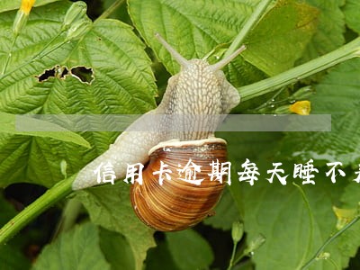信用卡逾期每天睡不着 信用卡逾期每天睡不着