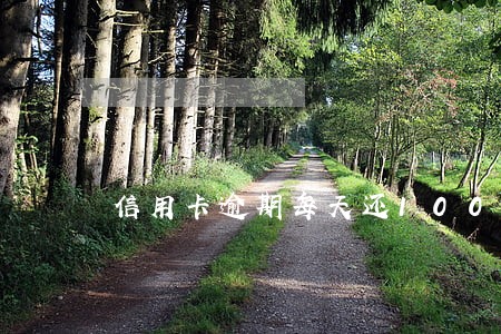 信用卡逾期每天还1000 信用卡逾期每天还1000