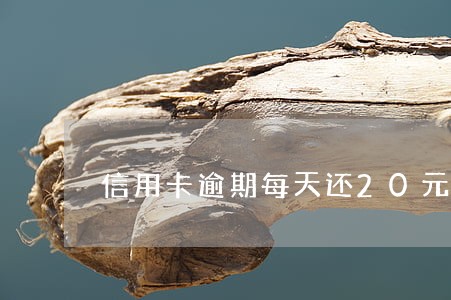 信用卡逾期每天还20元 信用卡逾期每天还20元