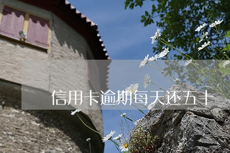 信用卡逾期每天还五十 信用卡逾期每天还五十