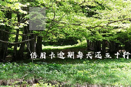 信用卡逾期每天还五十行吗
