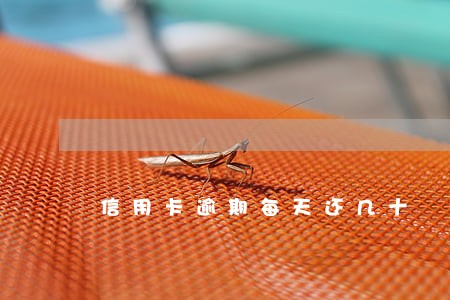 信用卡逾期每天还几十 信用卡逾期每天还几十