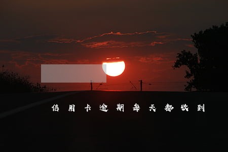 信用卡逾期每天都收到 信用卡逾期每天都收到