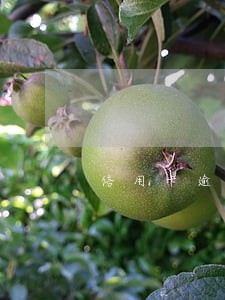 信用卡逾期每天都要收到电话 信用卡逾期每天都要收到电话