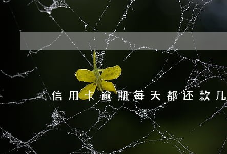 信用卡逾期每天都还款几元