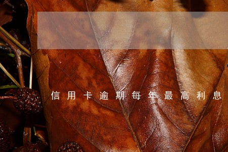 信用卡逾期每年最高利息 信用卡逾期每年最高利息