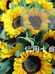 信用卡逾期每日利息 信用卡逾期每日利息