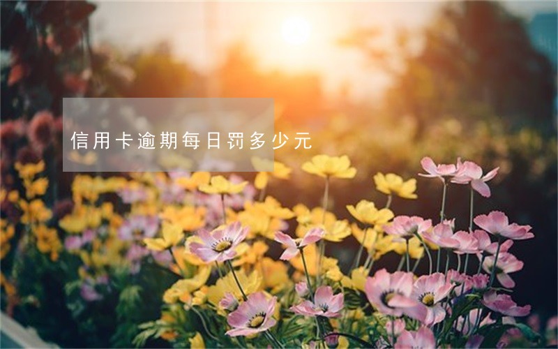 信用卡逾期每日罚多少元 信用卡逾期每日罚多少元