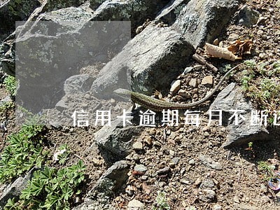 信用卡逾期每月不断还着钱 信用卡逾期每月不断还着钱