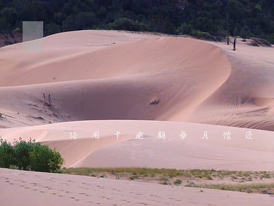 信用卡逾期每月偿还 信用卡逾期每月偿还