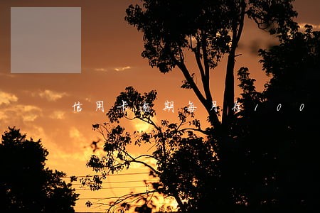 信用卡逾期每月存100元 信用卡逾期每月存100元