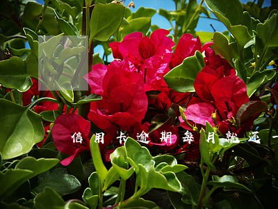 信用卡逾期每月就还一点可以吗