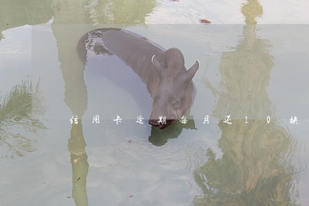 信用卡逾期每月还10块钱可以吗