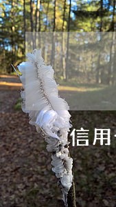 信用卡逾期每月还10块银行会起诉吗 信用卡逾期每月还10块银行会起诉吗