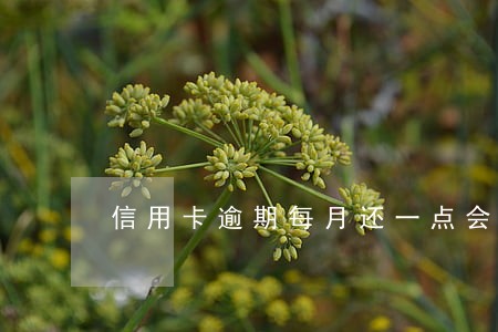 信用卡逾期每月还一点会判刑吗 信用卡逾期每月还一点会判刑吗